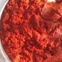 رب گوجه خانگی