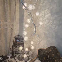 لوسنر کنار سالنی