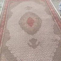 کارگر برای جابه جای فرش در قالیشویی