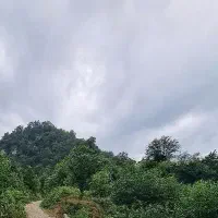 ۳۰۰۰ متر زمین با ویو دریا و شهر