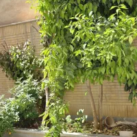 ویلایی 175 متری درب ساخت دو طبقه پروین اعتصامی