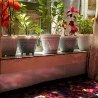 به دو نفر دانشجوی هم اتاقی پسر در اردبیل