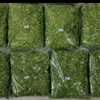 سبزی امادە کمترین قیمت بالاترین کیفیت