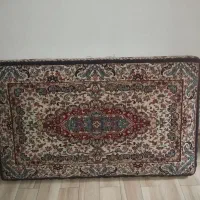 یک جفت پشتی  درحدود نو