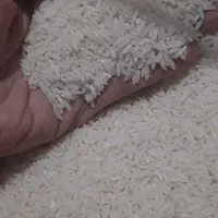 برنج هاشمی خالص خوش پخت  ۷۰ کیلو امساله