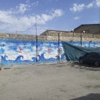 نیرو ماهر کارواش با درصد خوب یا روزمزد