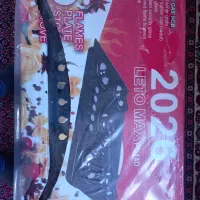 اجاق گاز صفحه ای