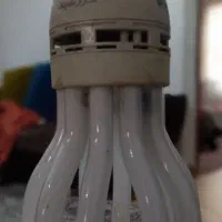 لامپ بزرگ