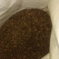 فروش دان قهوه