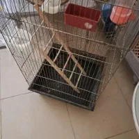 قفس کبوتر