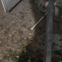 separate Afghan peykanbar estil