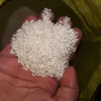 حراج برنج به دلیل تغییر شغل