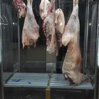 یک بابب مغازه   پروتعینی قصابی و مرغ فروشی