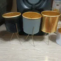 گلدون