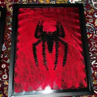 تابلو های دست ساز خاص ( اسپایدرمن +کلاژ دلار لوکس)