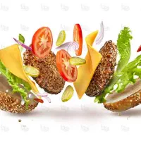 فرکار ماهر ساندویچی