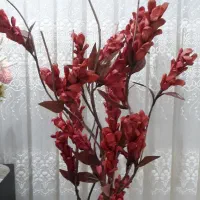 گل ساقه بلند مخصوص راهرو راه پله وراه گرد
