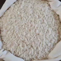 فروش ۳۲۰ کیلو برنج هاشمی لاهیجان درجه یک