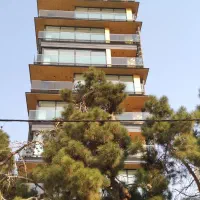 فروش آپارتمان تکواحدی ۲۷۴ متر طبقه ۱۴ نیاوران
