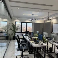 ویزیتور حرفه ای