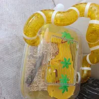 قفس همستر