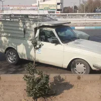 وانت پیکان مدل ۸۵