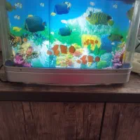 چراغ خواب طرح آکواریوم