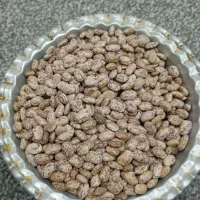 لوبیا محلی