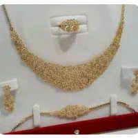 تا  دوسرویس ۷۰ گرمی طلا به صورت اقساطی