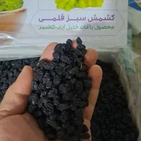 کشمش مویز انگور ترکمن ۴کاشمر