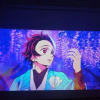 پرده نمایش خانگی و اداری|تلویزیون و پروژکتور|قزوین, |دیوار