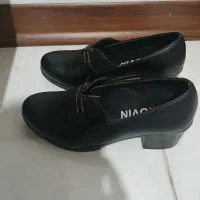 کالج نو|کیف، کفش، کمربند|قزوین, |دیوار