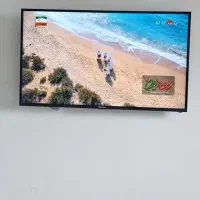 تلوزیون هایسنس
