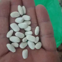 باسلام فروش ۱۵۰ کیلو لوبیا سفید لیزر شده