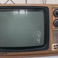 ظبط و تلویزیون