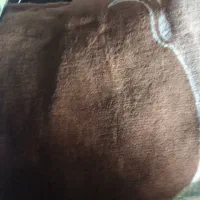 پتوی دو نفره گلبافت