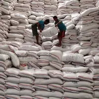 واردات مستقیم برنج عمده از هند پاکستان تناژ بالا10