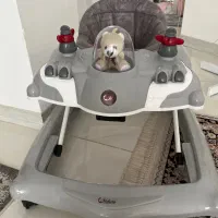 روروئک نو