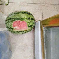به یک خانم مرتب برای فروشندگی نیاز هست