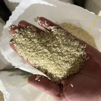 برنج عنبربو درجه یک معطر امسالی سبز و سفید عطری