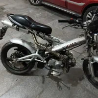 زیگما ساچ آلمانی