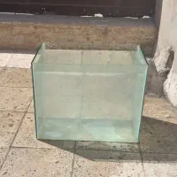 آکواریوم