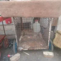 گاری چهارچرخ میوه دردار