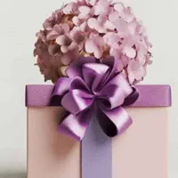 دریافت هدیه