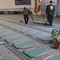 نظافت. مراقبت. شستشوی مبل