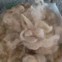 پشم گوسفند شسته شده
