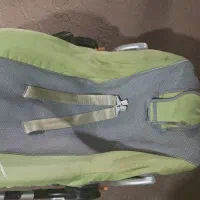 کالسکه و کریر چیکو اصل