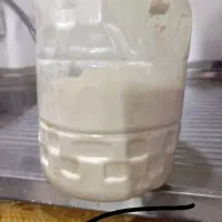 سلام ارد طاره نخل اصل و به شرط
