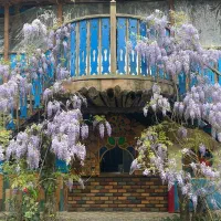 سالن کار  ، کافی من و سری زن قلیان