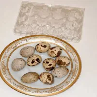 تخم بلدرچین خانگی